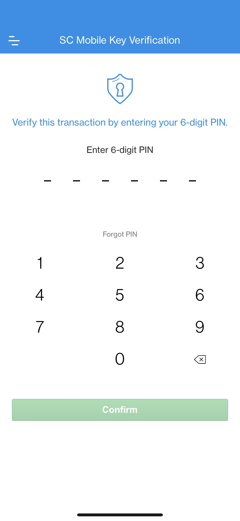 View Credit Card CVV and Expiry Date Step 4