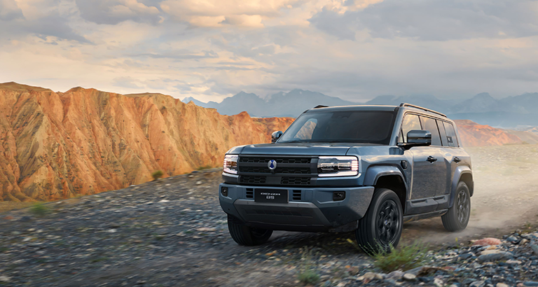 Hk cc usage zungfu denza