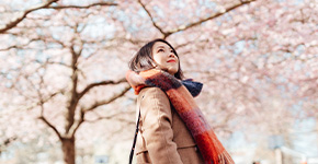 Travel Insurance Offer